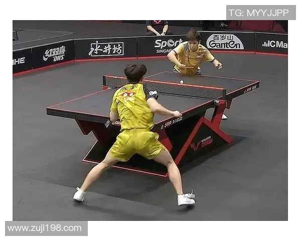 成都排球队以91分领跑大满贯积分榜展现强劲实力