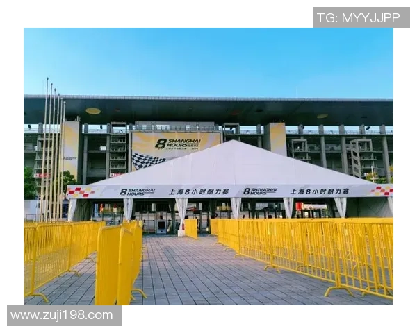 上海排球队耐力问题引发热议球迷与专家各执己见